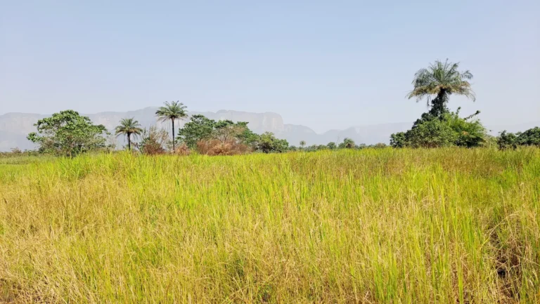 Sécuriser un projet minier en Guinée : les obligations juridiques essentielles