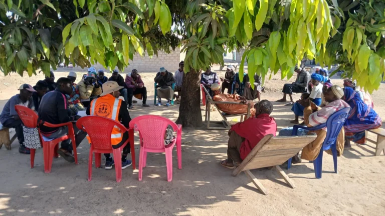 Contenu local : un levier de gouvernance et de développement durable